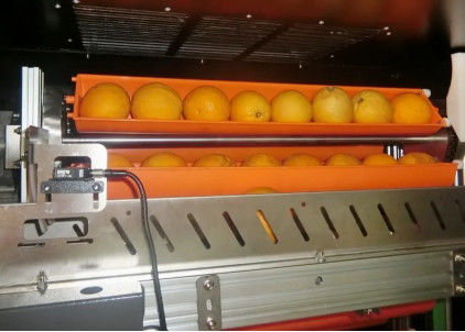 Mesin Penjual Jus Buah Pasar Gelap 800W Untuk Jeruk Apel