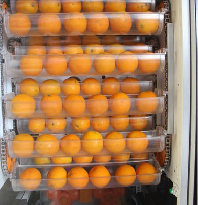 Mesin Penjual Jus Jeruk Segar Buah Otomatis 1000W Untuk Toko Supermarket