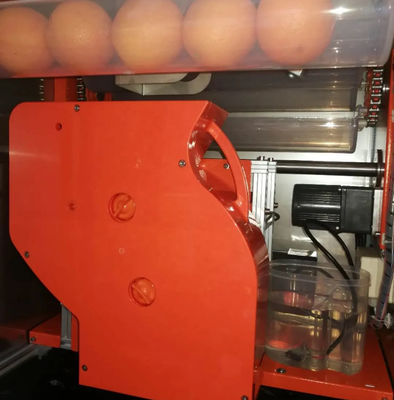 Mesin Jus Jeruk Penjual Otomatis Segar 800W WD-ORANGE