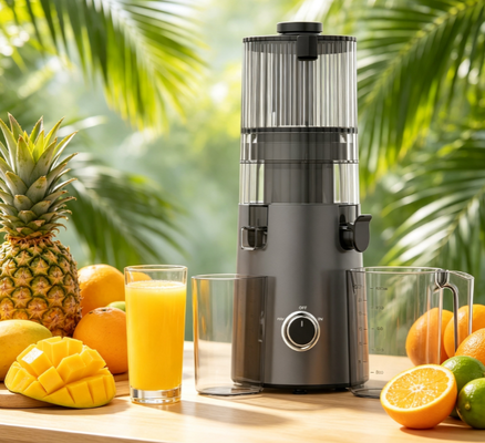 Fresh Smart HJ103A Everyday Slow Masticating Juicer